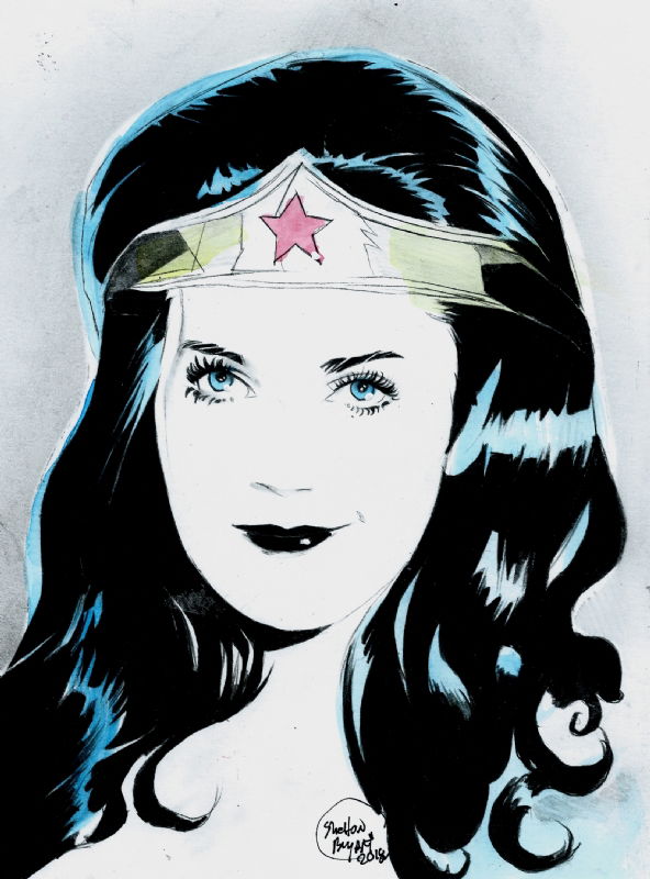 THE ORIGINAL WONDER WOMAN~LYNDA CARTER, in Shelton Bryant's ICONS Comic ...