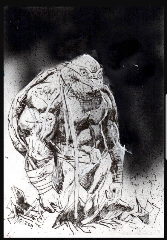 Ninja Turtle, in B. P.'s Published pages, commissions, and oddities ...