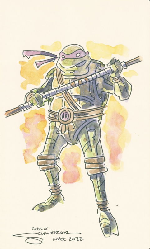 Donatello by Chris Schweizer, in Nicholas Doyle's Amanda’s Teenage ...