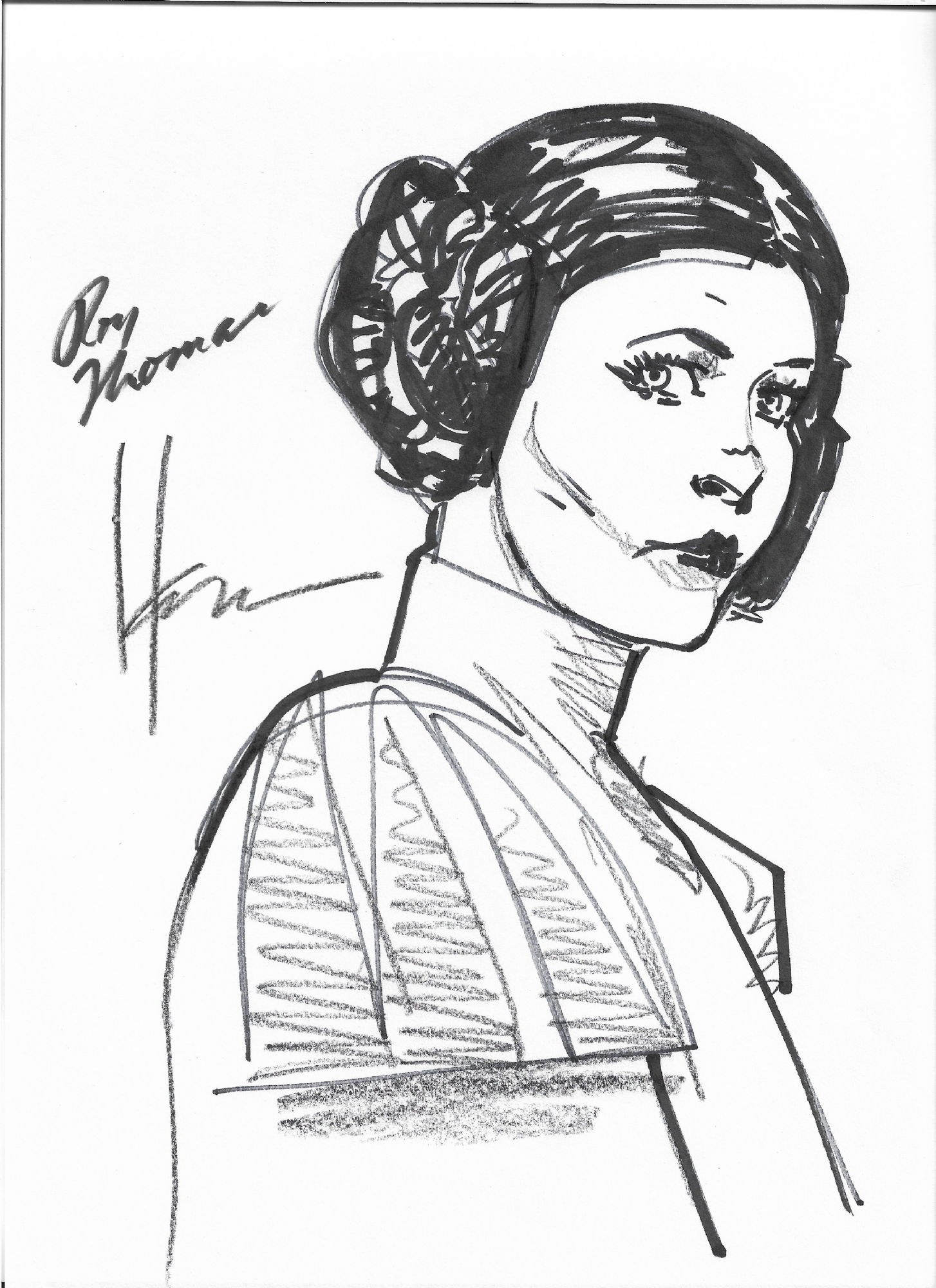 Princess Leia, In Wayne Mousseau's Howard Chaykin Comic Art Gallery Room