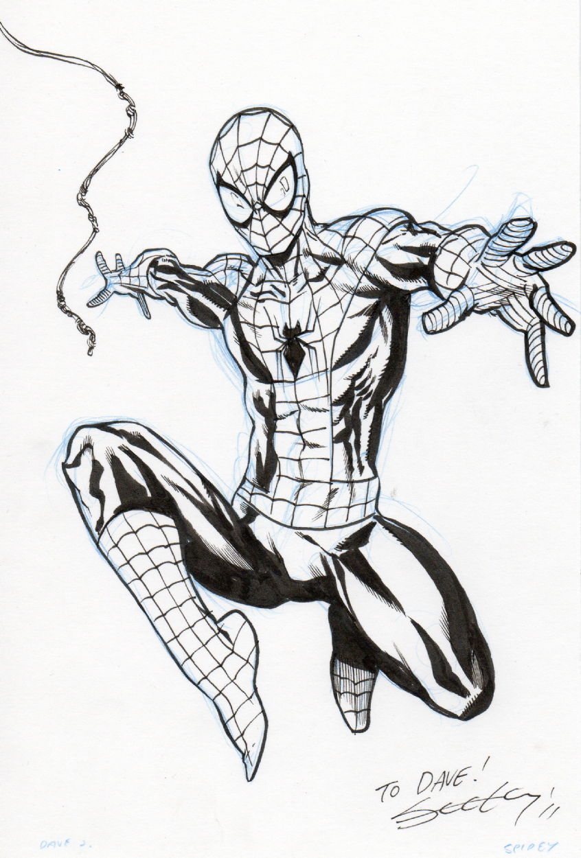 Spider-man - Tim Seeley, in David Jordan's comic art Comic Art Gallery Room