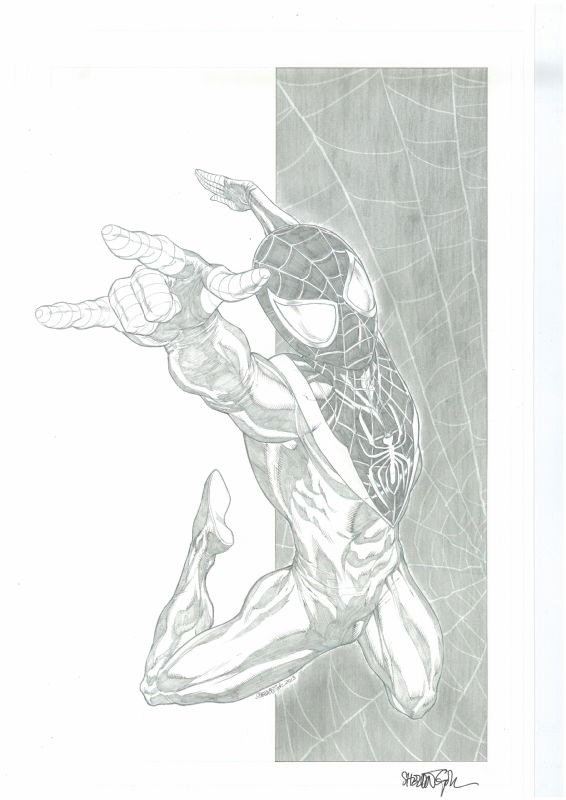 Sheldon Goh-Spiderman, In Andy Lim's Commission/Pin Ups Comic Art ...