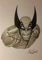 Wolverine Comic Art