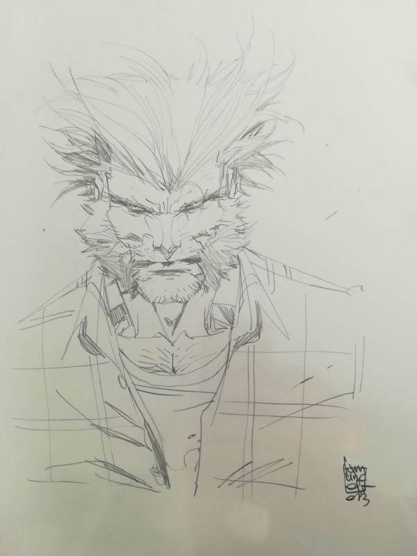 Wolverine - 2013, In Andrea D's Camuncoli Giuseppe Comic Art Gallery Room