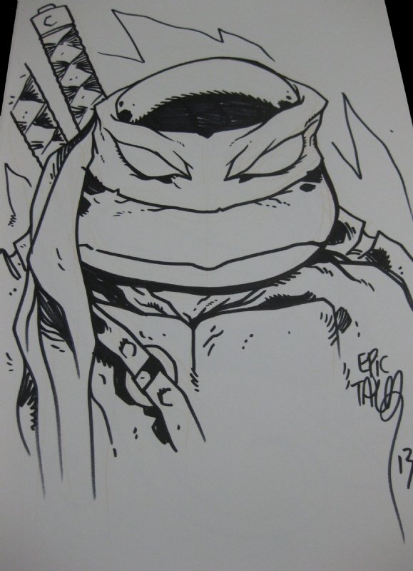 leonardo  Teenage mutant ninja turtles art, Tmnt artwork, Tmnt