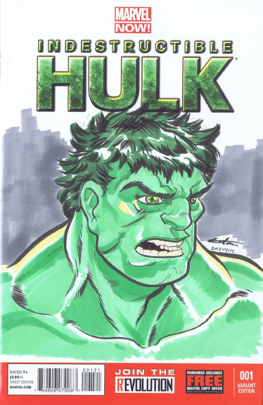 Indestructible Hulk, in Greg Golem's Sketch Covers Comic Art Gallery Room