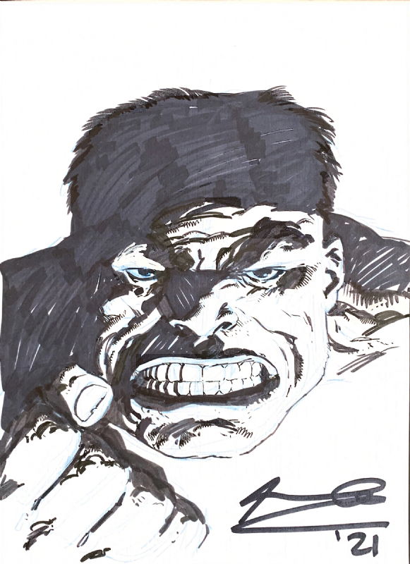 The Hulk - Ariel Olivetti, in D D's Marvel Characters Comic Art Gallery ...